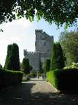 19473 Knappogue Castle from garden.jpg